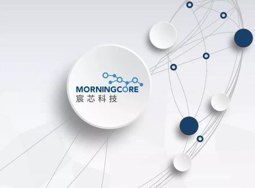 西海岸数字经济产业新篇章 300余家企业汇聚，技术开发引领未来