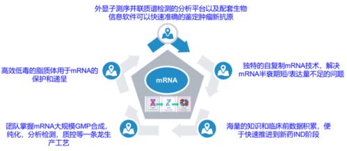 创新竞争2.0 国内头部药企如何借力计算机网络科技重塑研发格局